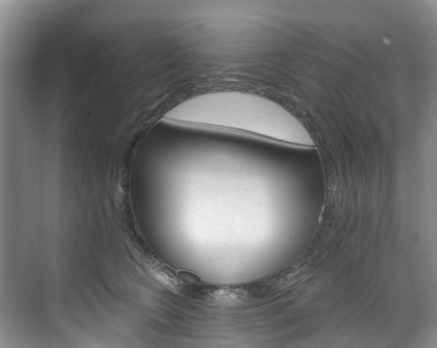 X0000074940566200609010948