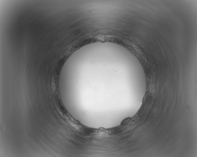 X0000074940569200609010948