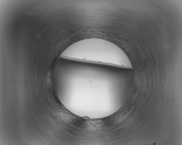 X0000074940571200609010948