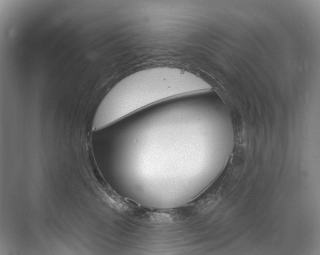 X0000074940572200609010948