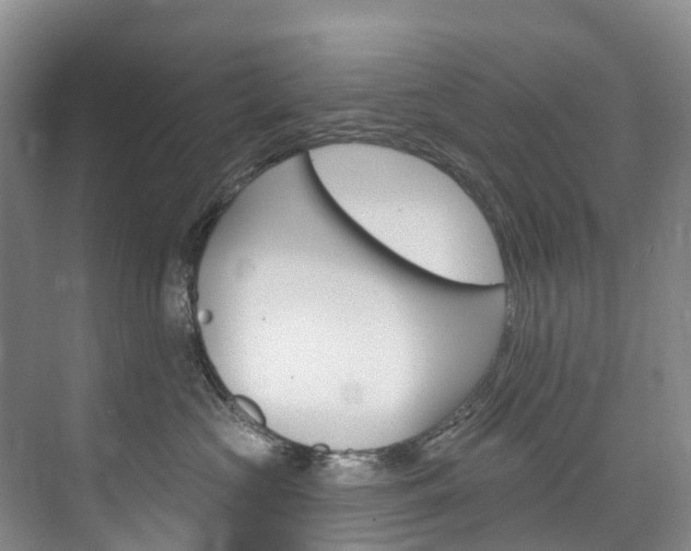 X0000074940573200609010948