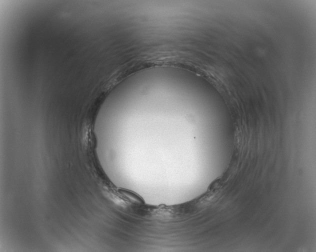 X0000074940574200609010948