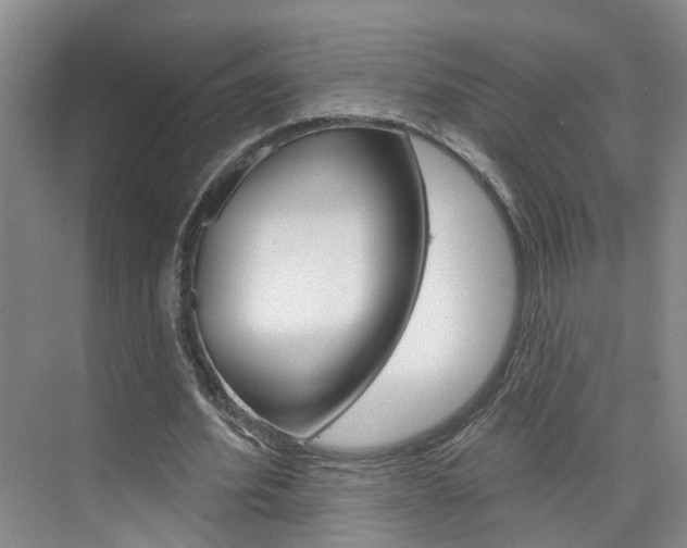 X0000074940580200609010947