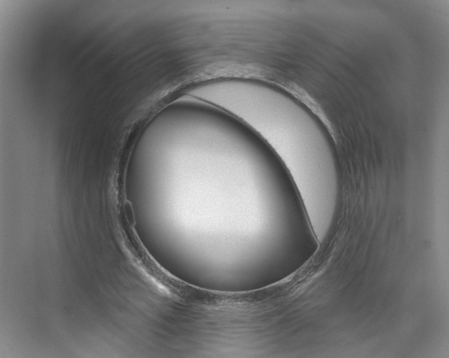 X0000074940581200609010947