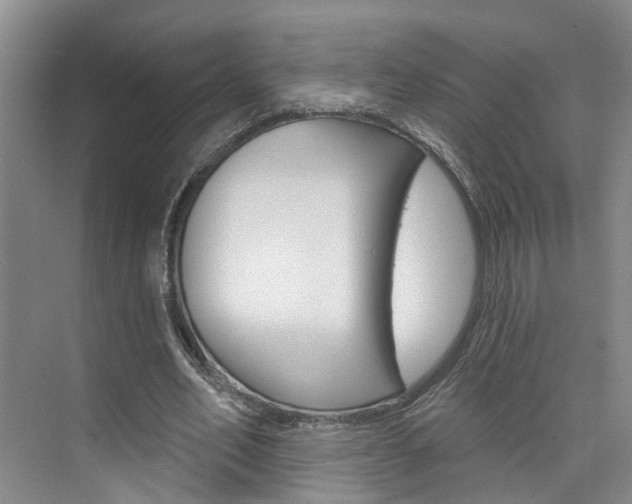 X0000074940582200609010947