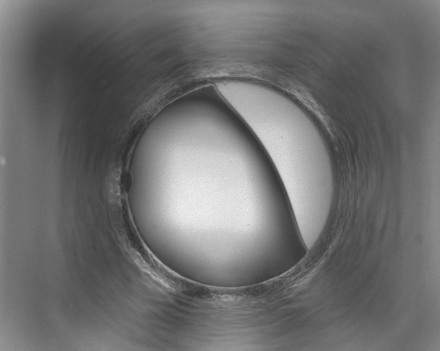 X0000074940585200609010947