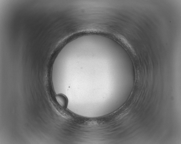 X0000074940588200609010947