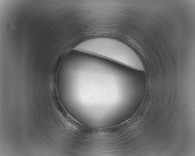 X0000074940593200609010947