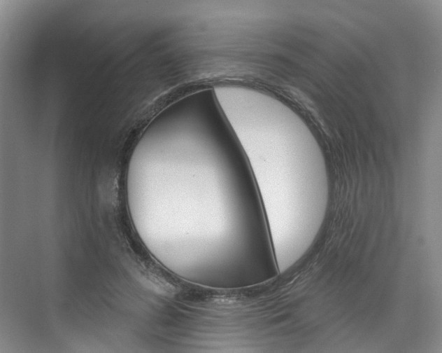 X0000074940596200609010947