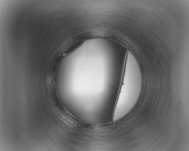 X0000074940601200609010947