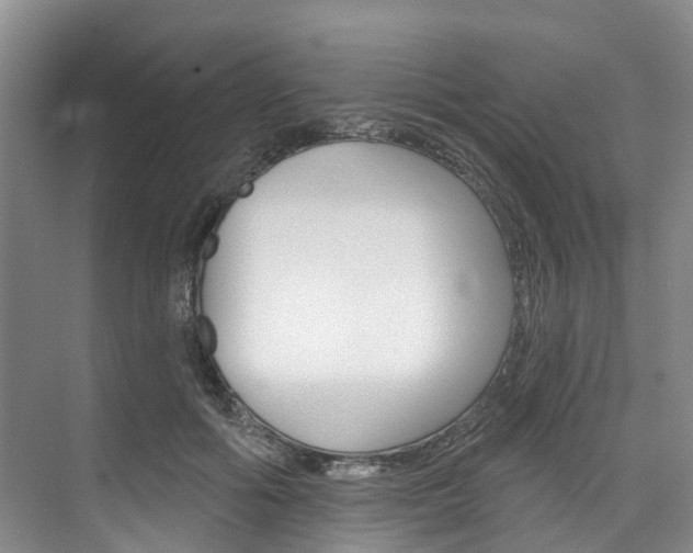 X0000074940602200609010947