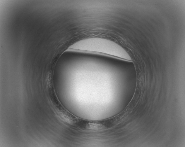 X0000074940605200609010947