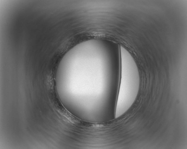 X0000074940609200609010947