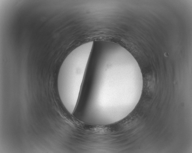 X0000074940615200609010947