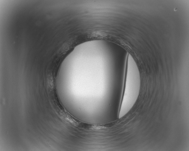 X0000074940617200609010947