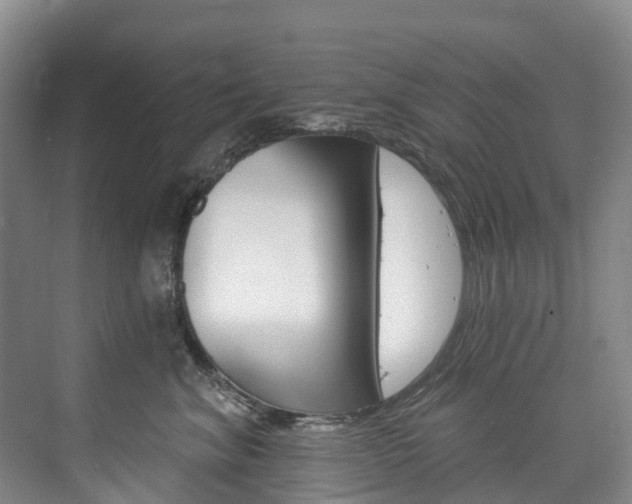 X0000074940620200609010946