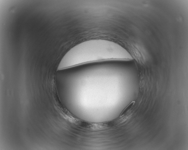 X0000074940623200609010946