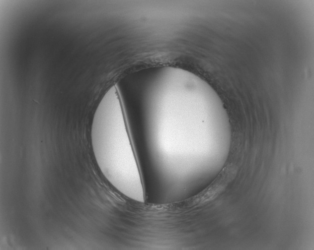 X0000074940624200609010946