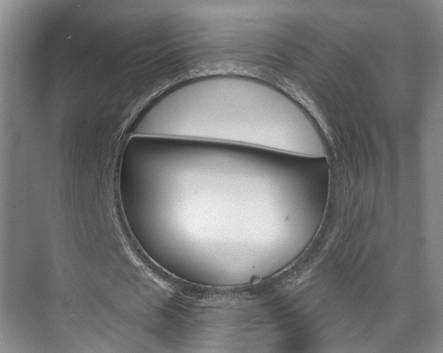 X0000074940625200609010946