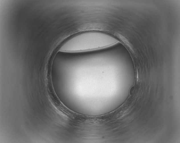 X0000074940627200609010946