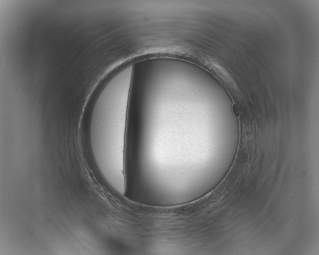 X0000074940628200609010946