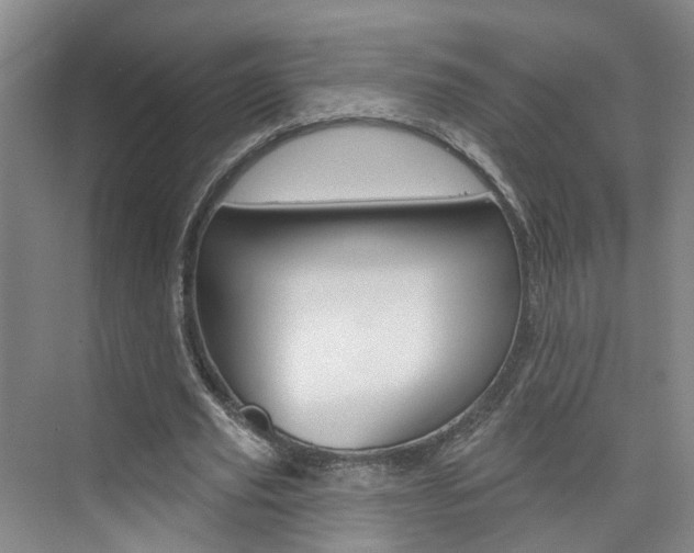 X0000074940629200609010946