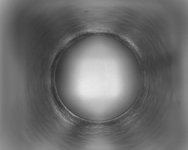 X0000074940631200609010946