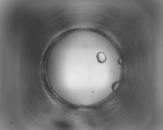 X0000074940636200609010946