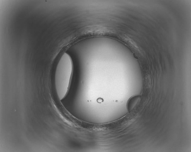 X0000074940638200609010946