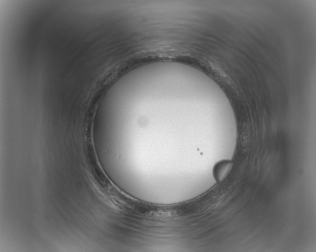 X0000074940639200609010946