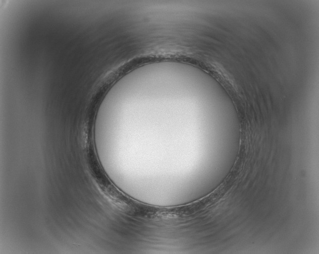 X0000074940640200609010946