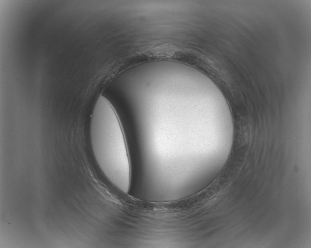 X0000074940641200609010946