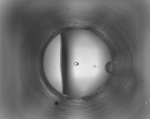 X0000074940642200609010946