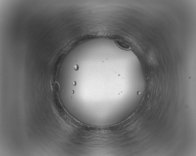 X0000074940643200609010946