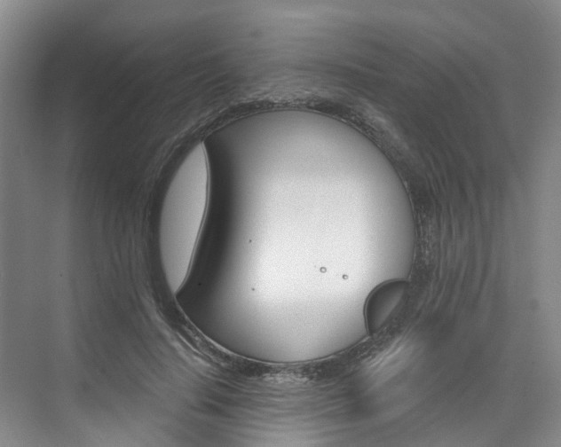 X0000074940644200609010946