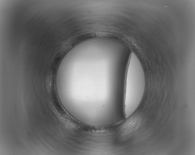 X0000074940645200609010946