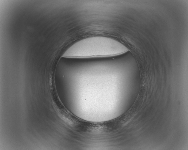 X0000074940646200609010946