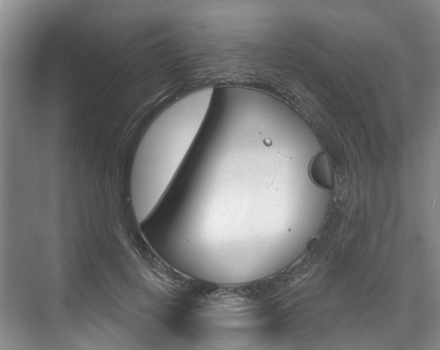 X0000074940648200609010946