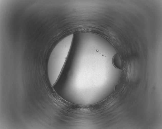 X0000074940649200609010946