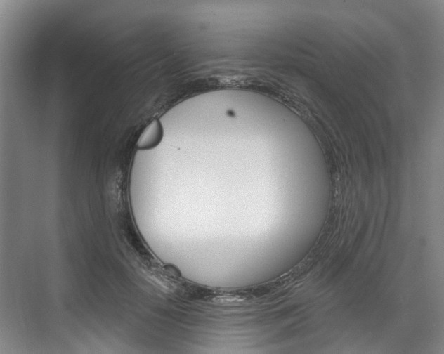 X0000074940650200609010946