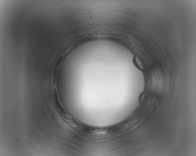 X0000074940651200609010946