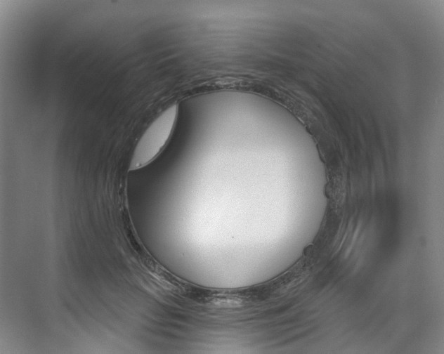 X0000074940653200609010946