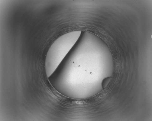 X0000074940654200609010946