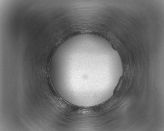 X0000074940655200609010946