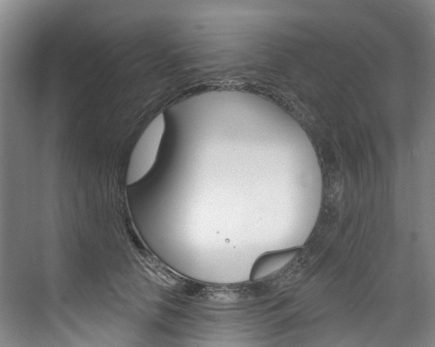 X0000074940658200609010946