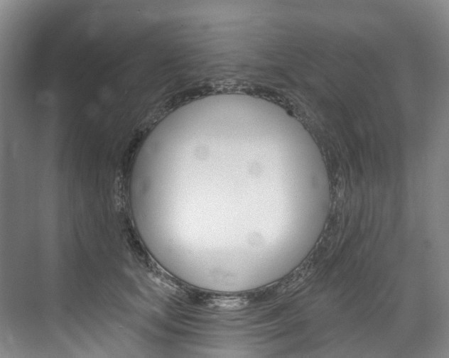 X0000074940659200609010946