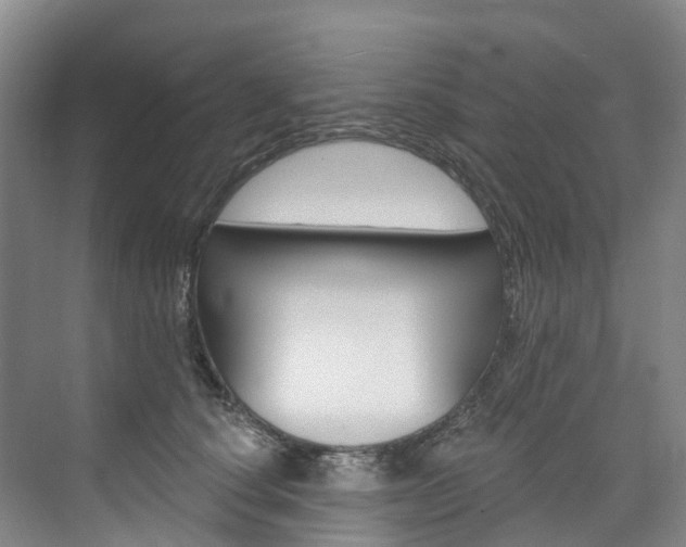 X0000074940660200609010946