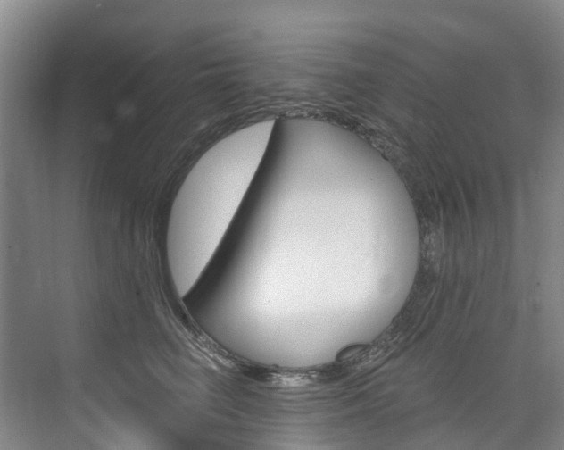 X0000074940662200609010946