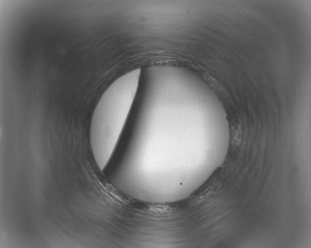 X0000074940666200609010946