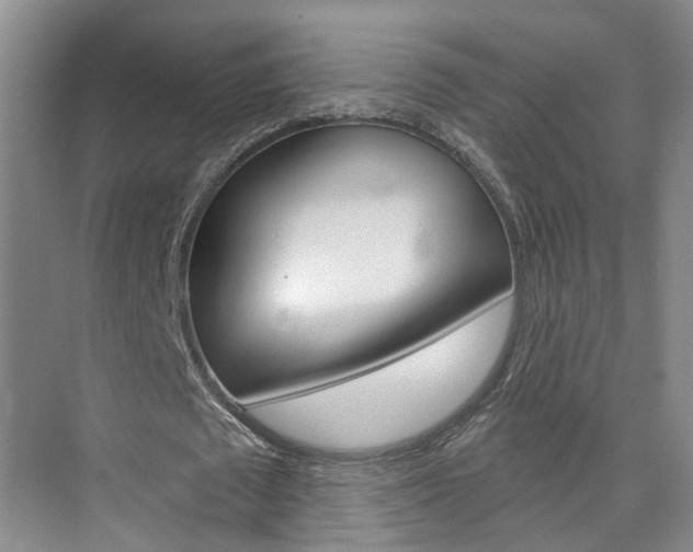 X0000074940673200609010946